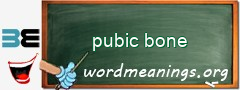WordMeaning blackboard for pubic bone